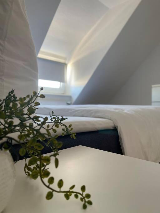 Gemuetliche, Helle Wohnung In Paderborn Exteriör bild
